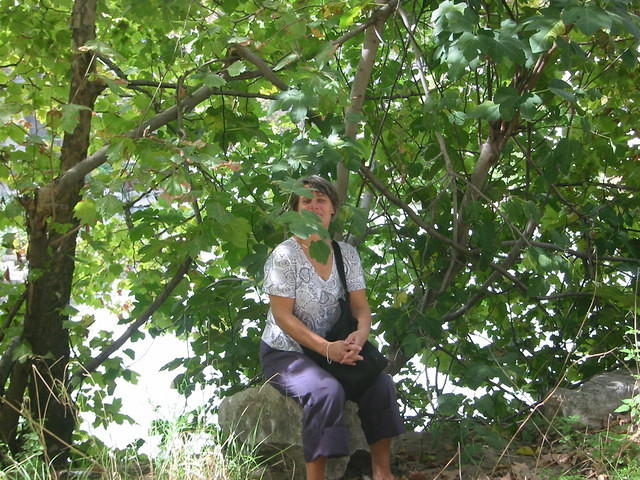 IMG_3665.JPG